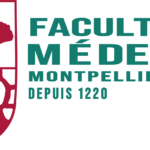 Thèse de médecine : Les parcours diagnostiques des femmes atteintes d’endométriose en France